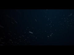 IP66 ngoài trời đèn LED cảnh quan ánh sáng 10W COB Cây vườn Spike Lighting