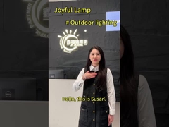 Thép không gỉ 316 với điều khiển từ xa PC RGB cài đặt dễ dàng PAR 56 hồ bơi đèn