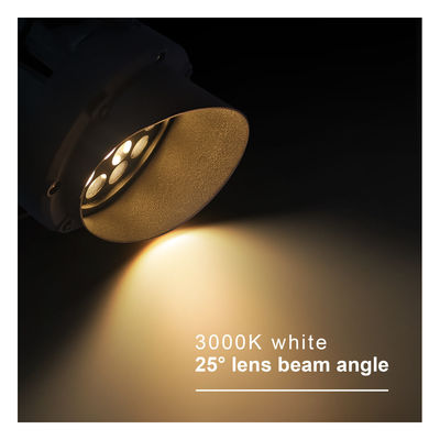 Đèn đèn LED RGB ngoài trời cao độ sáng LED IP65 Cây cảnh quan