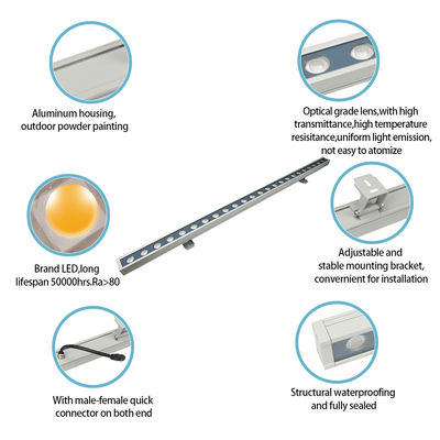 Super Bright US Plug IP65 Điện áp thấp tường rửa ánh sáng cho vườn cảnh quan