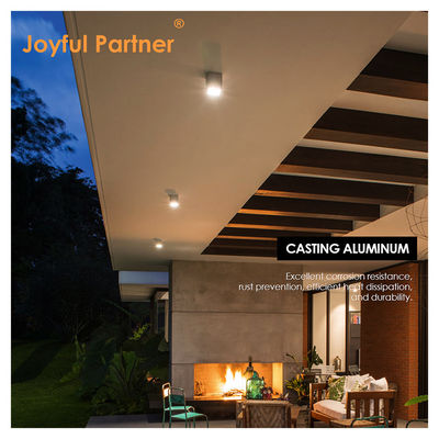 Joyful LED Wall Ceiling Surface Mount Light 4W 8W 220V AC Cơ thể nhôm