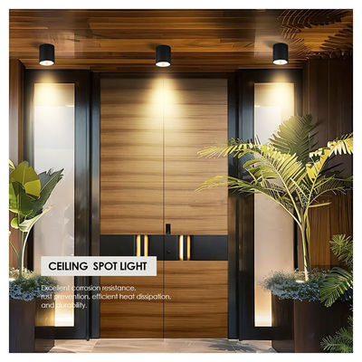 12W COB đèn LED Downlight Đèn gắn tường Đèn thiết kế nhỏ gọn Địa chỉ bề mặt cho ứng dụng ngoài trời