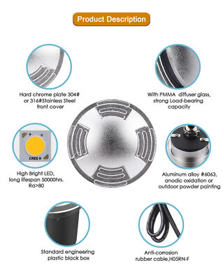 Stainless Steel Buried Inground Light Waterproof 2 Side View DIA55MM SS316 Cover CE ROHS For Walkway