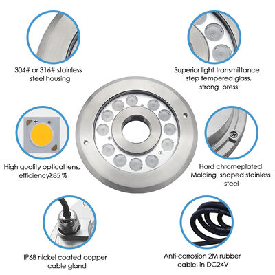 Đèn phun nước dưới nước LED Trắng ấm 12 Volts 12W Vật liệu SS 316 Với chiều dài cáp 2 mét